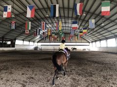 -月河湾马术俱乐部(朝阳店)