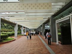 -香港大学