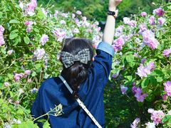 -龙寺生态园