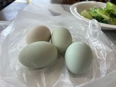 -蟹天蟹地农家菜·阳澄湖大闸蟹(浅水湾店)