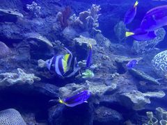 -左海海底世界