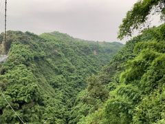 -川西竹海景区