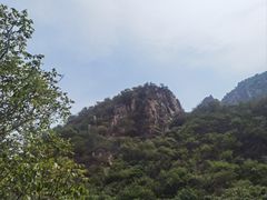 -大岭沟猕猴桃谷风景区