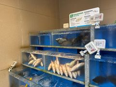 -盒马鲜生(杭州运河上街店)