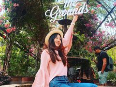 -The Grounds of Alexandria