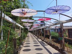 -呀路古热带植物园