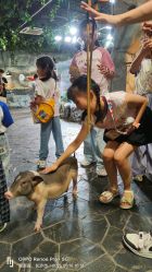 -Zoolung Zoolung动物主题公园(海信广场店)