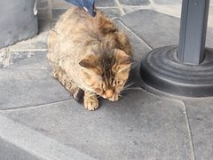 -平安桥天主教堂