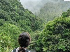 -金钉子远古世界景区