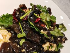 -洞庭家宴·头牌甲鱼(广渠门店)
