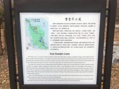 -红楼梦邮局