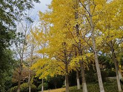 -云龙湖旅游景区