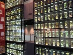 -广东中医药博物馆