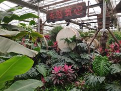 -呀路古热带植物园