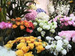 -花草间花行(法华镇路店)
