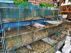 水产区-蟹谢蒸鲜自助餐厅
