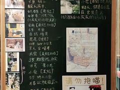 -小时光咖啡馆(开森度假森林店)
