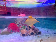 -沈阳海洋探索中心