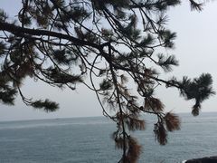-海东龙宫寺