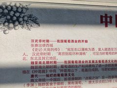 -北京张裕爱斐堡酒庄