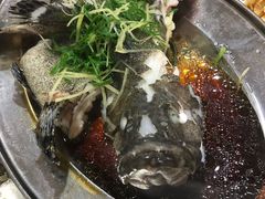-蚝专家(北滘店)