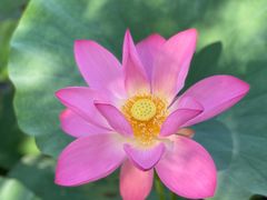 -南戴河国际娱乐中心