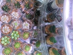 -KKV(深圳kk one 店)