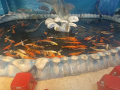 -泉州海丝野生动物世界