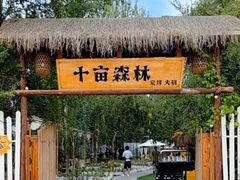 -十亩森林
