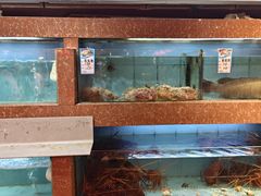 -德兴海鲜渔港(辉煌大厦店)