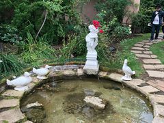 -河口湖八音盒之森美术馆