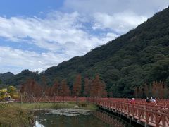 -广州市石门国家森林公园