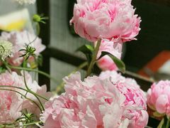 -T館·花园艺术餐厅
