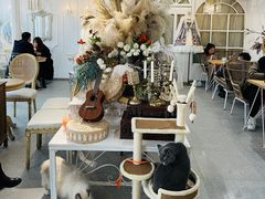 大堂-共舞时光猫咖·狗咖(新街口店)