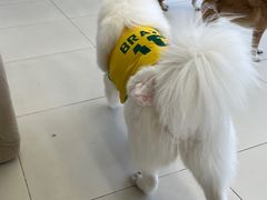 -怪兽屋·羊驼·猫咖·狗咖(俊华广场店)