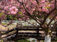 -幕燕滨江·燕子矶公园