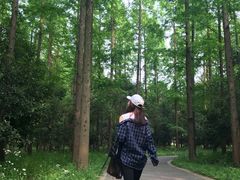 -崇明东平国家森林公园烧烤房车露营地