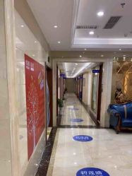 -碧莲盛·不剃发植发