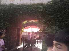 -藏龙百瀑风景区