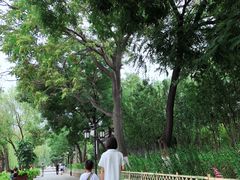 -文瀛公园