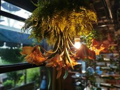 -胡桃里乐队酒馆(鎏嘉码头店)