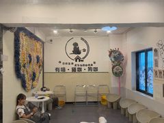 -有喵·猫咖·狗咖·30几只猫10只小狗(岗厦店)