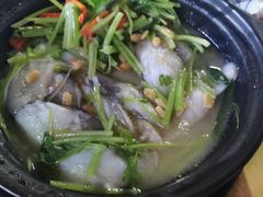 -老明馨潮汕大排档