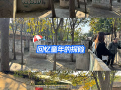-东湖小天池真人CS彩弹野战基地