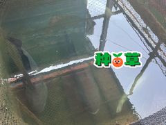 -蓝湾碧波·老字号·疍家非遗海上餐厅