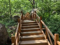-大岭沟猕猴桃谷风景区