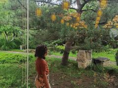 -会宾园·云山宴中餐