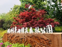 -杭州半山国家森林公园