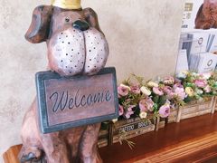 -宠爱国际动物医院· 猫科· 外科·中兽医(长白店)
