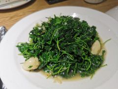 鸡毛菜-南京人家(盛京大奥莱店)